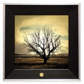 Art Print - "Solo Tree" by Nick Boyer